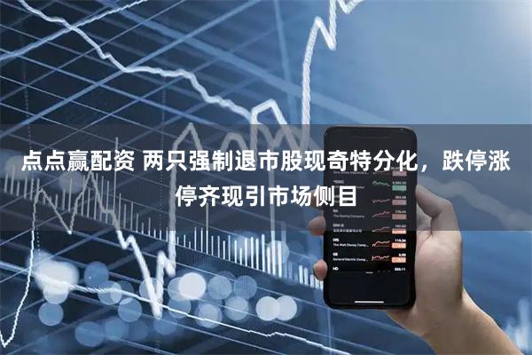点点赢配资 两只强制退市股现奇特分化，跌停涨停齐现引市场侧目